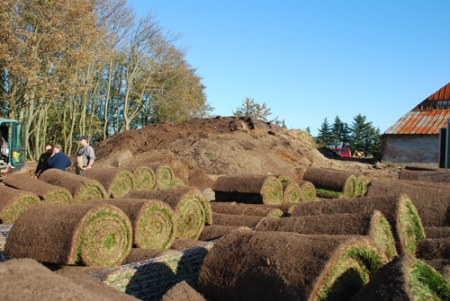 Rullegræsset ligger klar til at blive rullet ud på Thusbjerg.